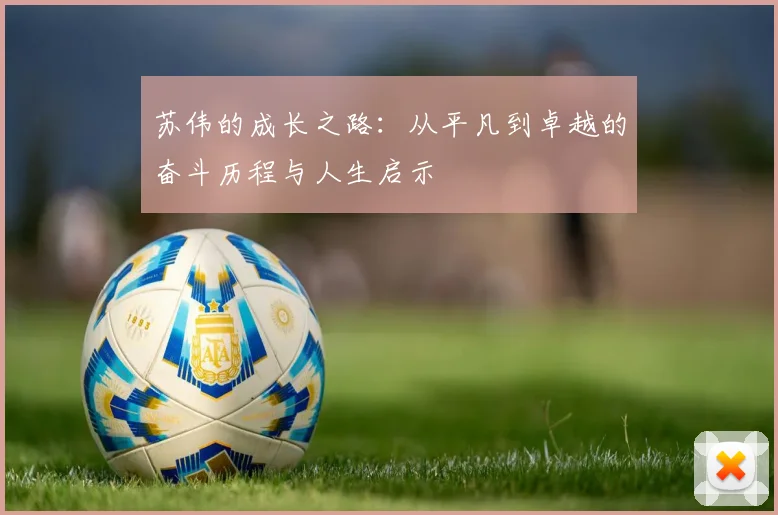 苏伟的成长之路：从平凡到卓越的奋斗历程与人生启示
